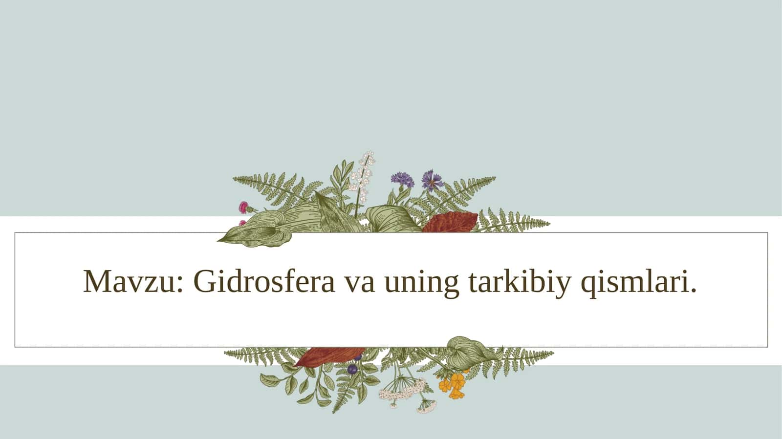 Gidrosfera va uning tarkibiy qismlari.