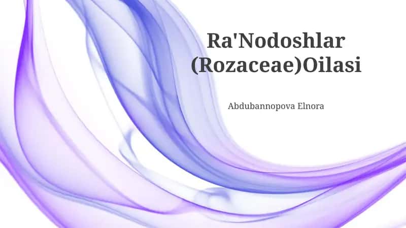Ra'Nodoshlar (Rozaceae) Oilasi