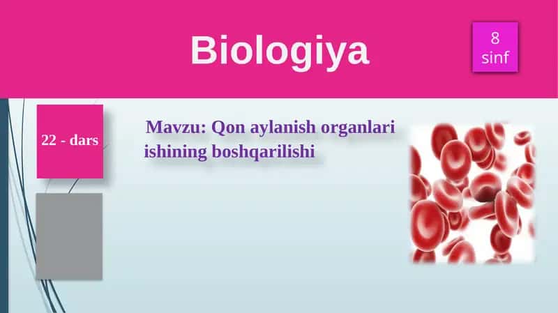Qonaylanish organlari ishining boshqarilishi