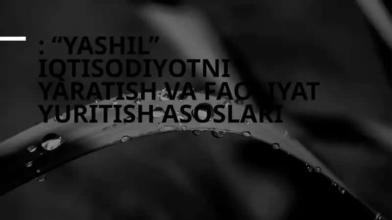 Yashil iqtisodiyotni yaratish va faoliyat yuritish asoslari