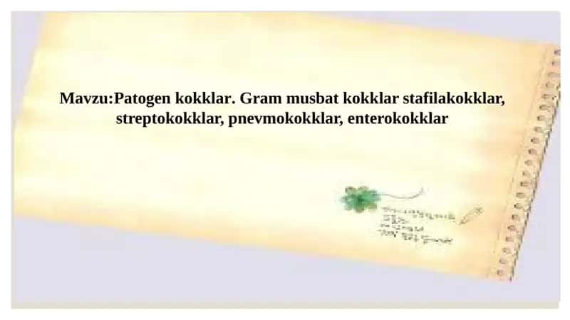 Patogen kokklar. Gram musbat kokklar stafilakokklar, streptokokklar, pnevmokokklar, enterokokklar