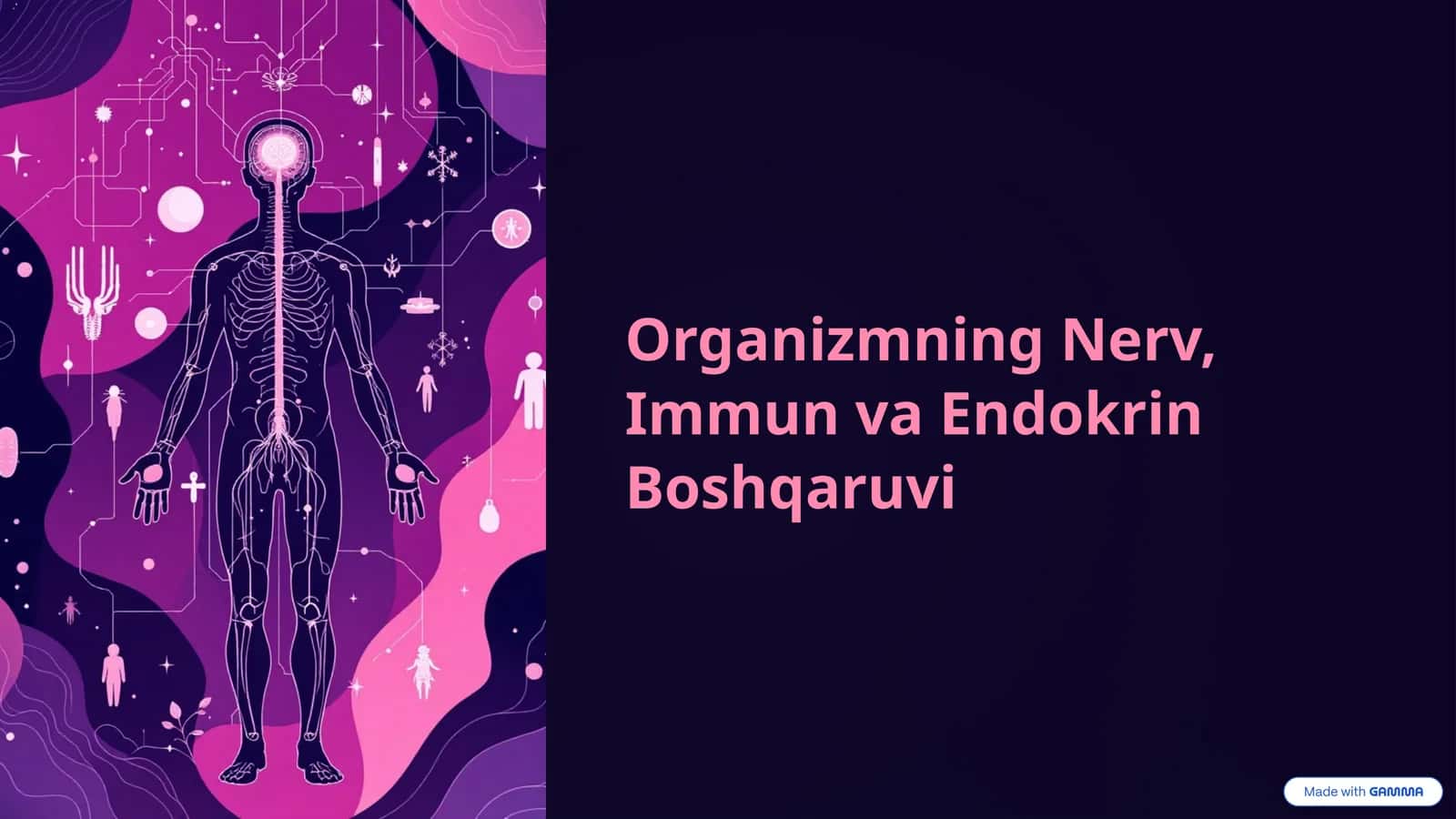 Organizmning Nerv, Immun va Endokrin Boshqaruvi