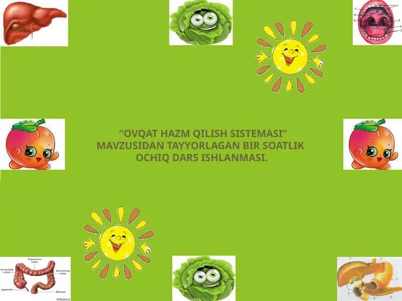 OVQAT HAZM QILISH SISTEMASI