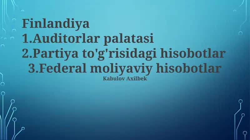 Milliy audit idorasi