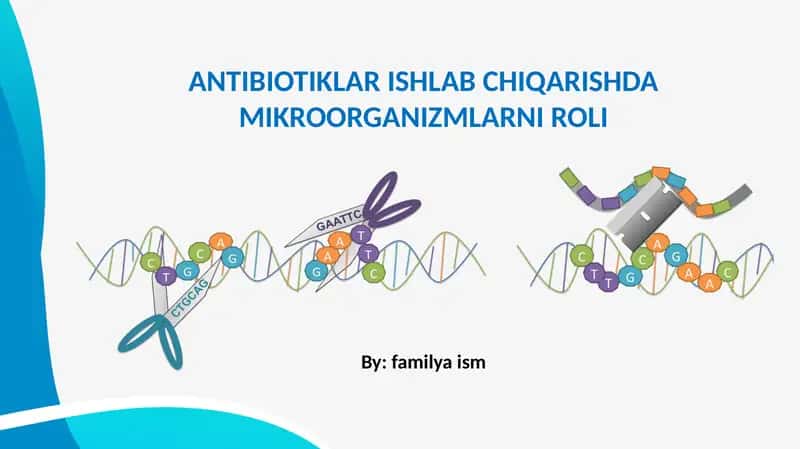 ANTIBIOTIKLAR ISHLAB CHIQARISHDA MIKROORGANIZMLARNI ROLI