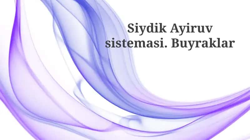 Siydik Ayiruv Sistemasi