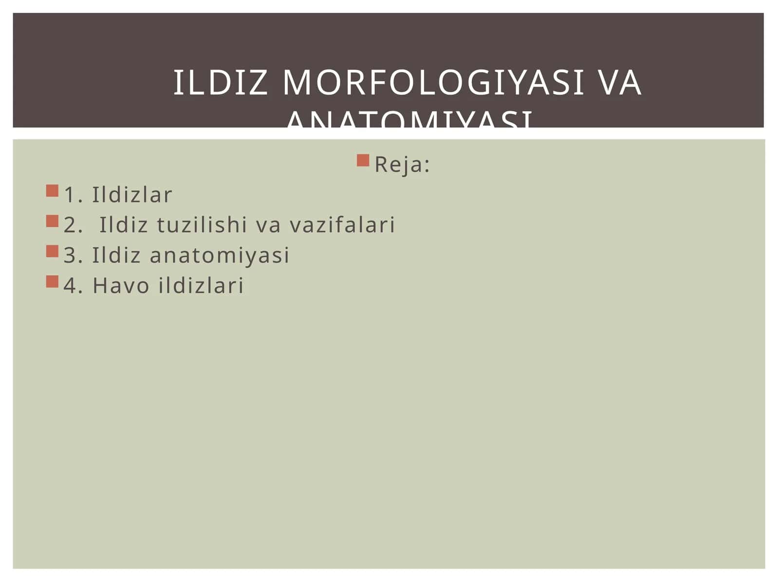 Ildiz anatomiyasi