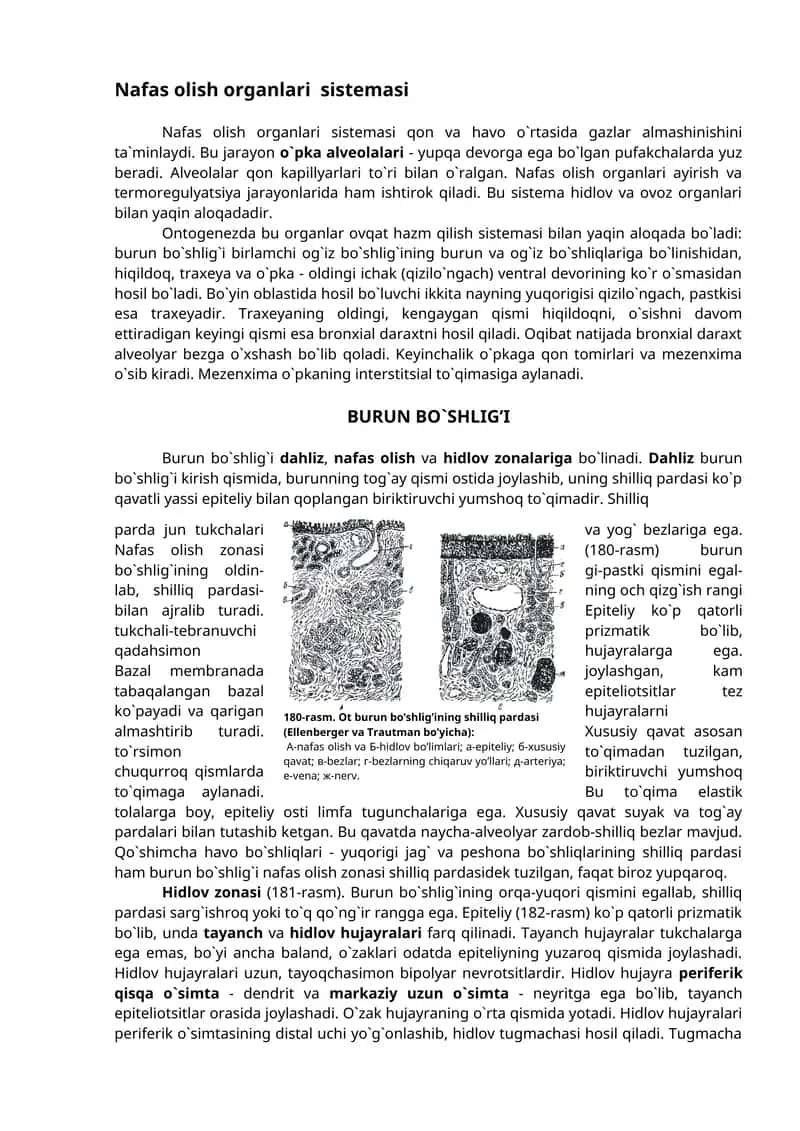 Nafas olish organlari sistemasi