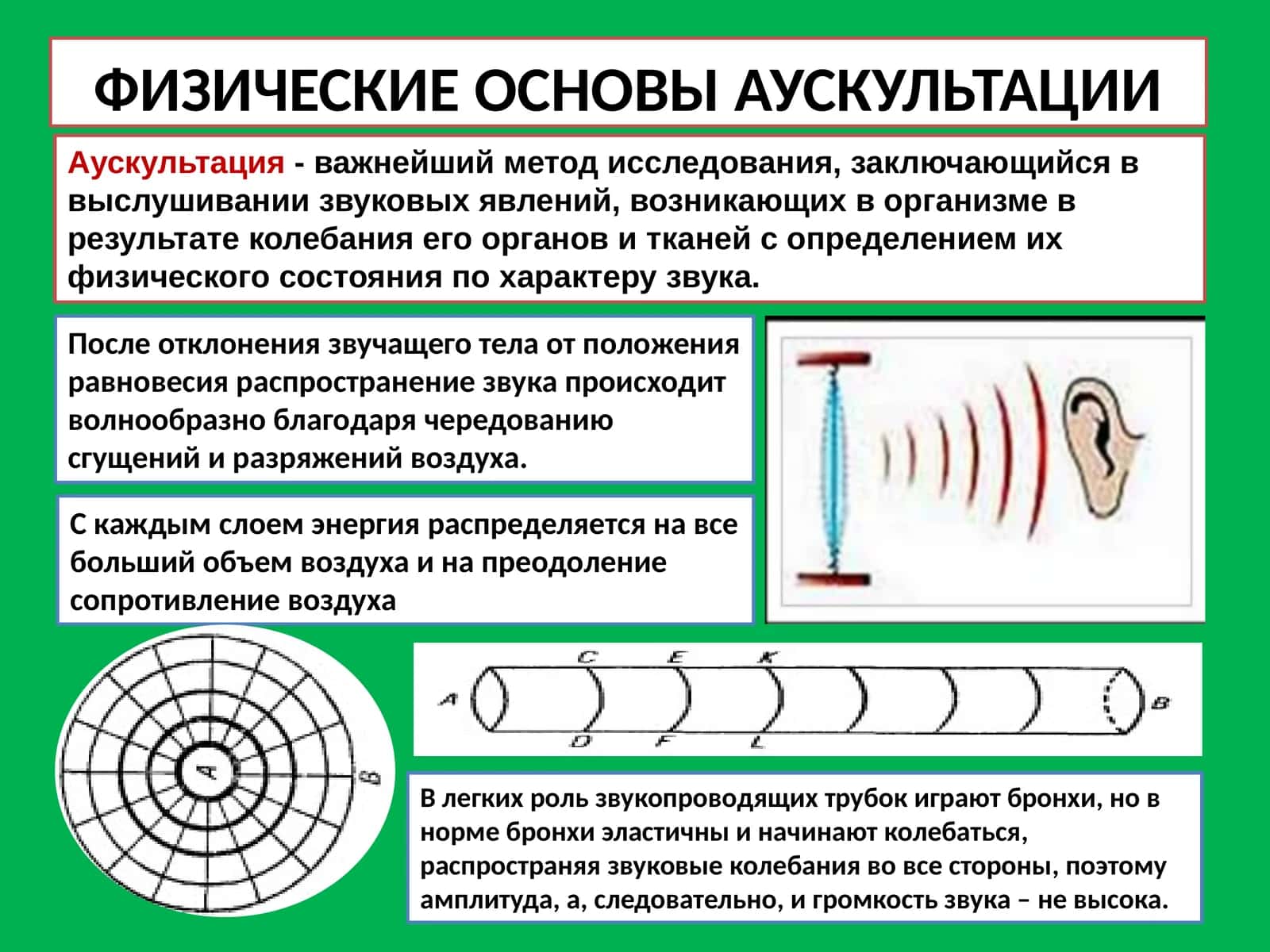 ФИЗИЧЕСКИЕ ОСНОВЫ АУСКУЛЬТАЦИИ