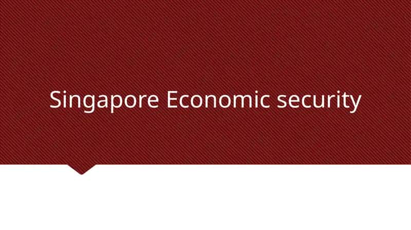Singapore Economic security