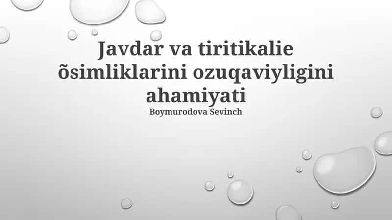 Javdar va Tiritikalie oziqlanishi