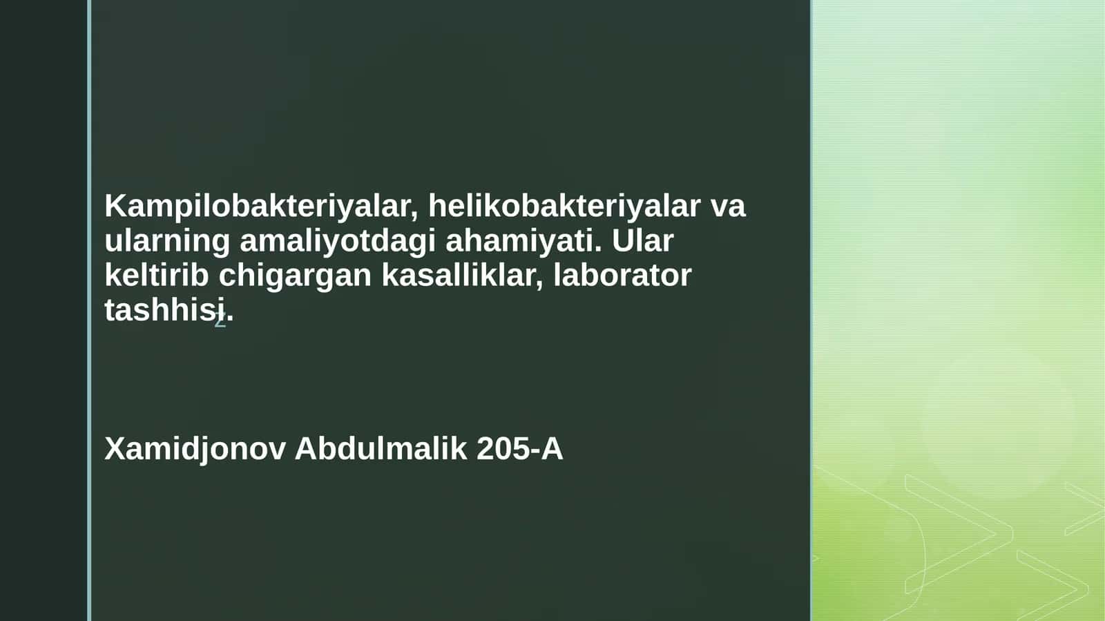 Kampilobakteriyalar, helikobakteriyalar va ularning amaliyotdagi ahamiyati. Ularning keltirib chiqargan kasalliklar, laborator tashxisi