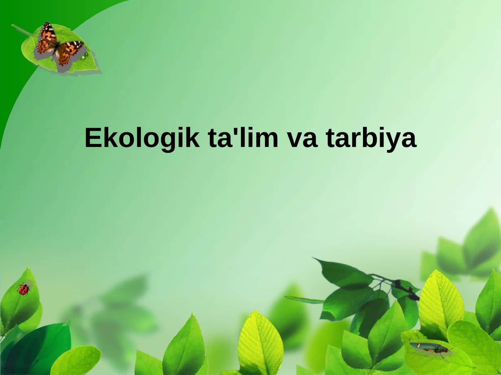 Ekologik ta'lim va tarbiya