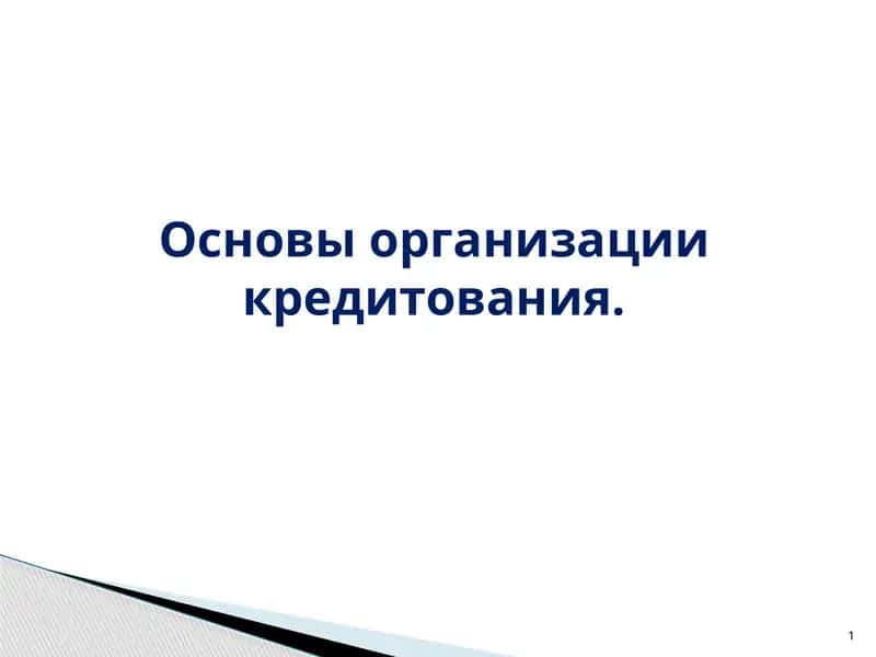 Основы организации кредитования