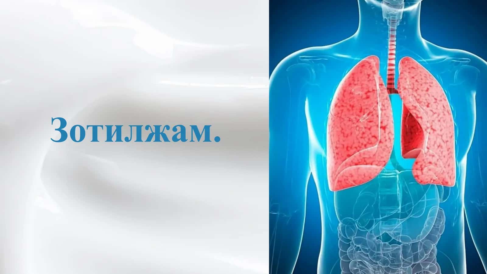 Зотилжам