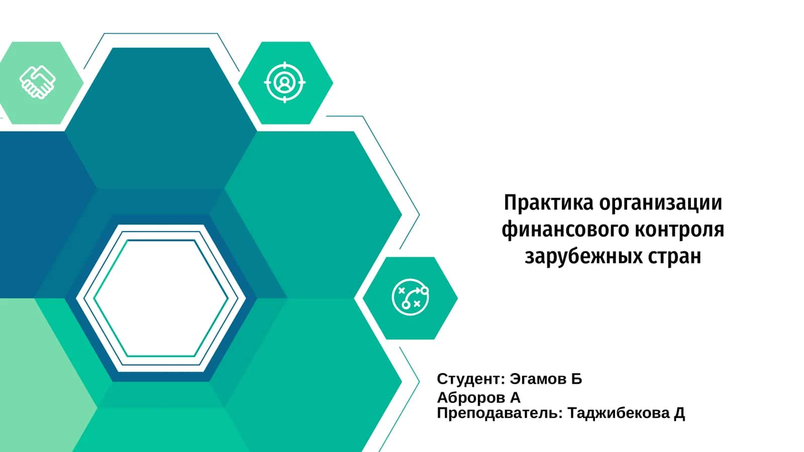 Практика организации финансового контроля зарубежных стран