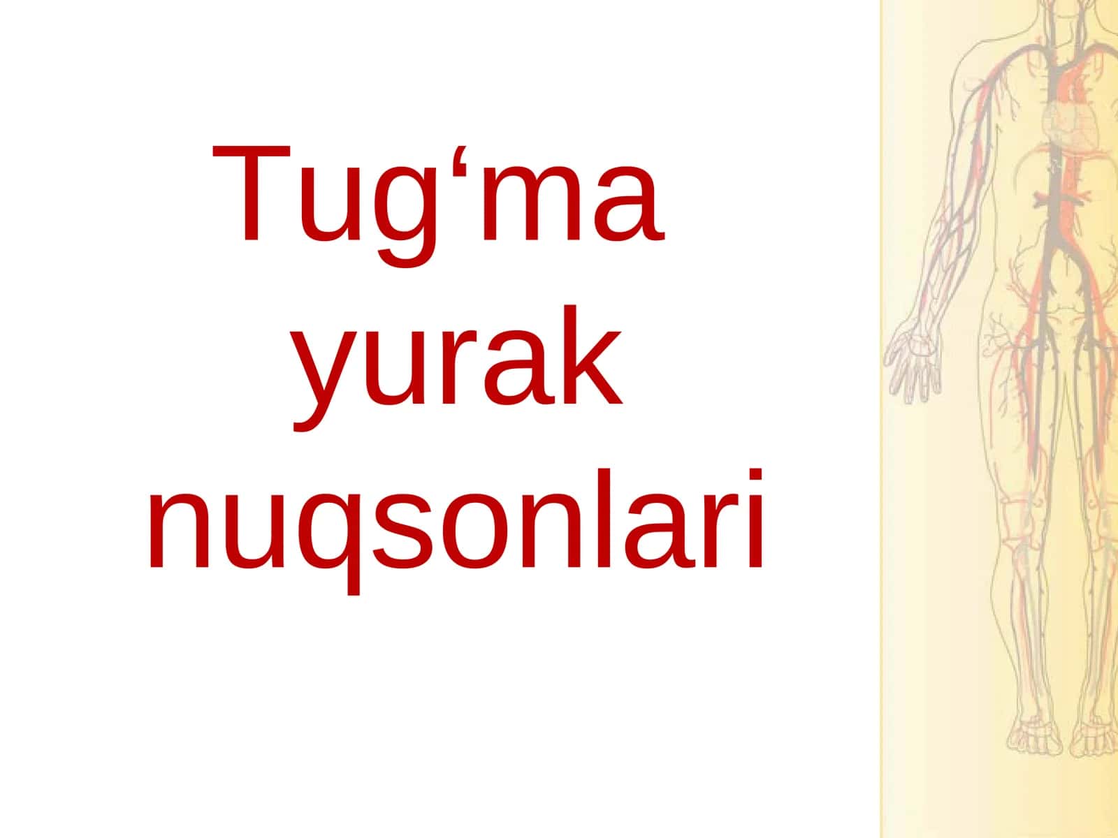 Tug‘ma yurak nuqsonlari