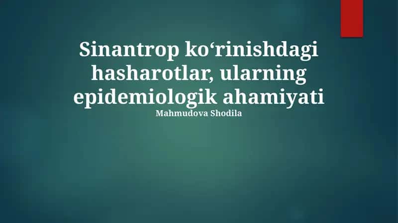 Sinantropik Hashamatlar: Ta'rif va Tarqalish