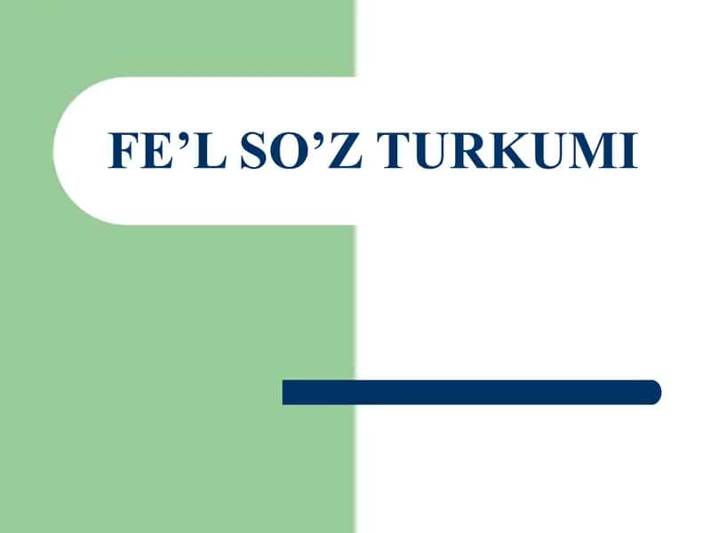 Fe’l so’z turkumi