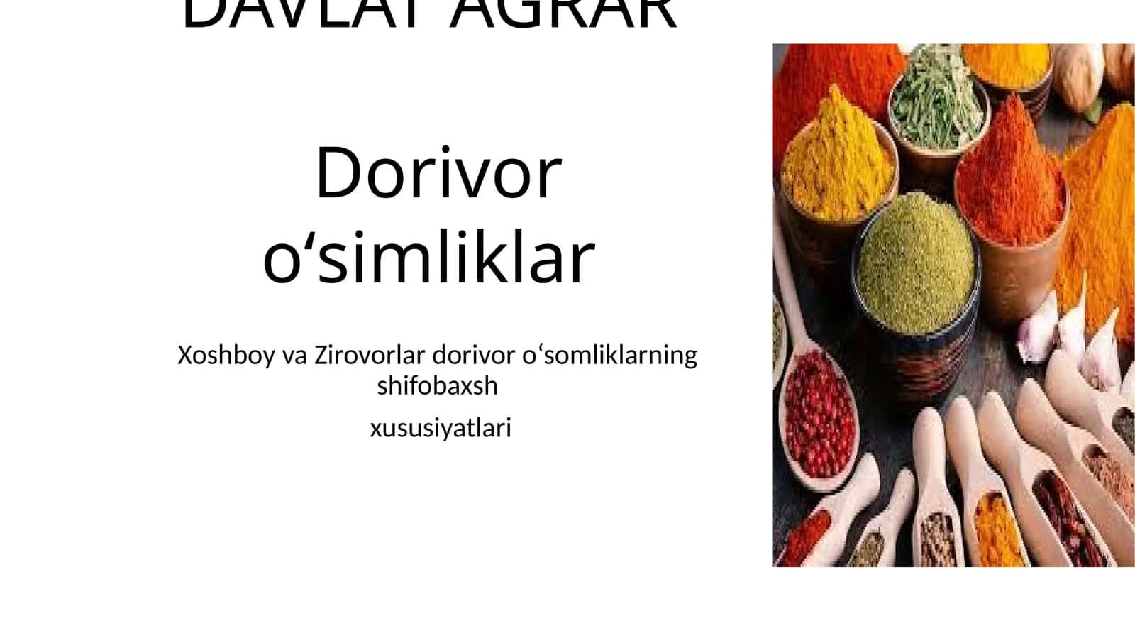Xoshboy va Zirovorlar dorivor o‘somliklarning shifobaxsh xususiyatlari
