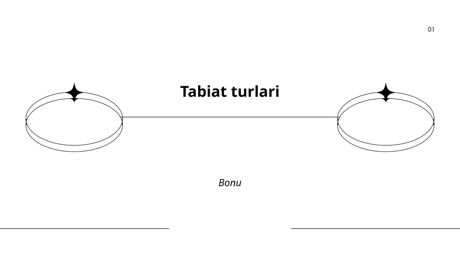 O'rmon ekotizimlari