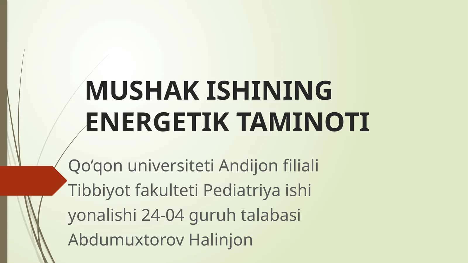 MUSHAK ISHINING ENERGETIK TAMINOTI