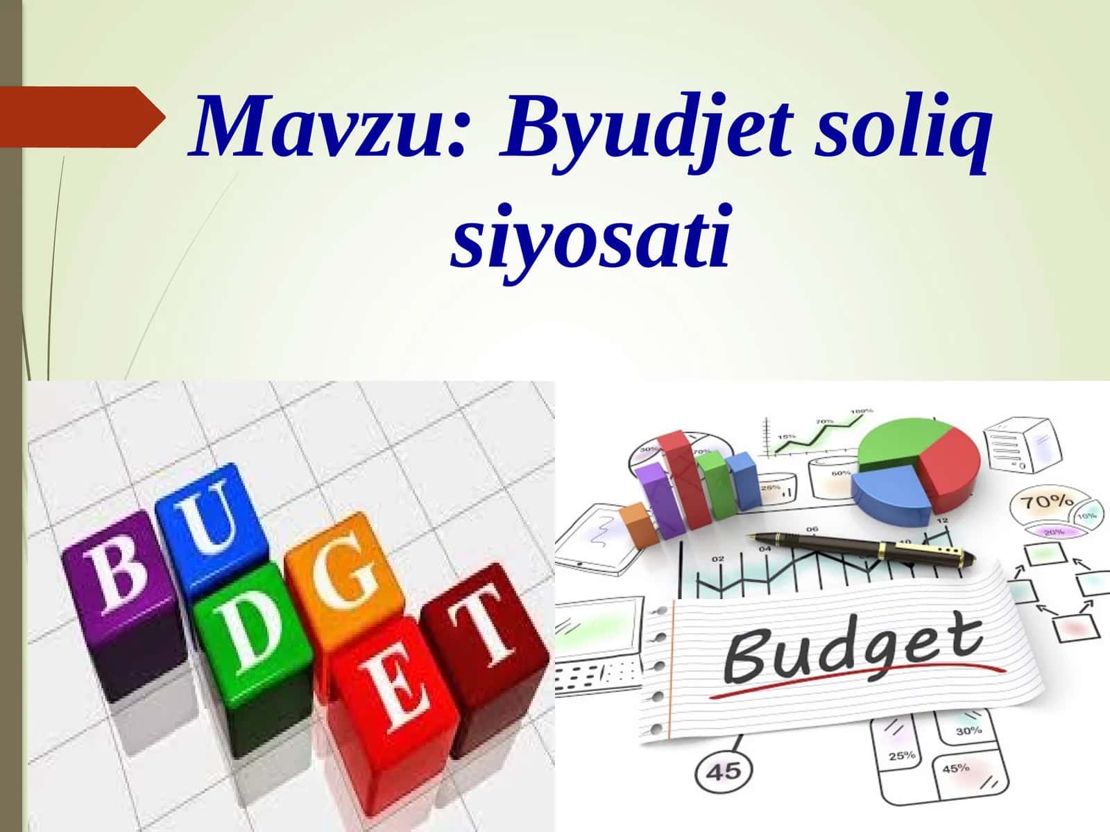 Byudjetsoliq siyosati