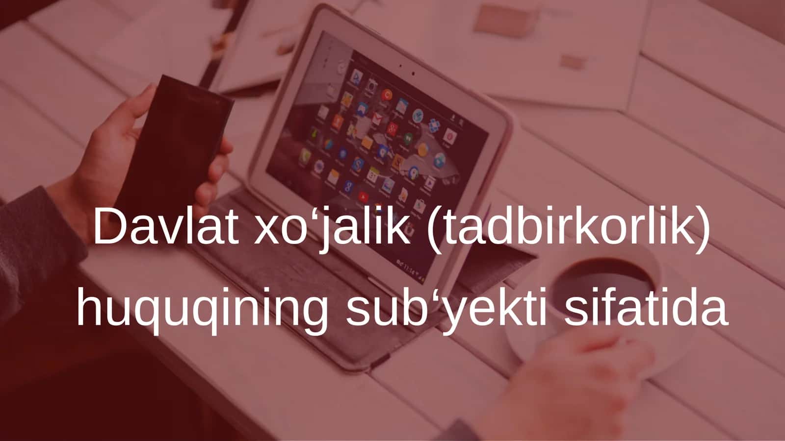 Davlat xo‘jalik (tadbirkorlik) huquqining sub‘yekti sifatida