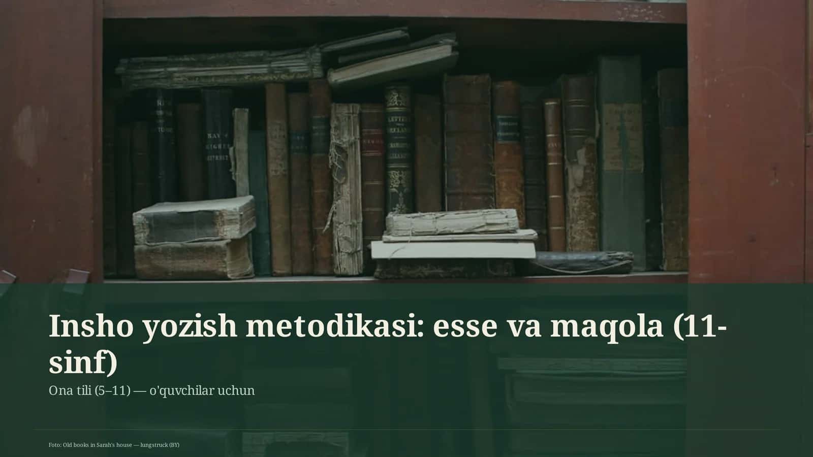 Insho yozish metodikasi: esse va maqola (11-sinf)