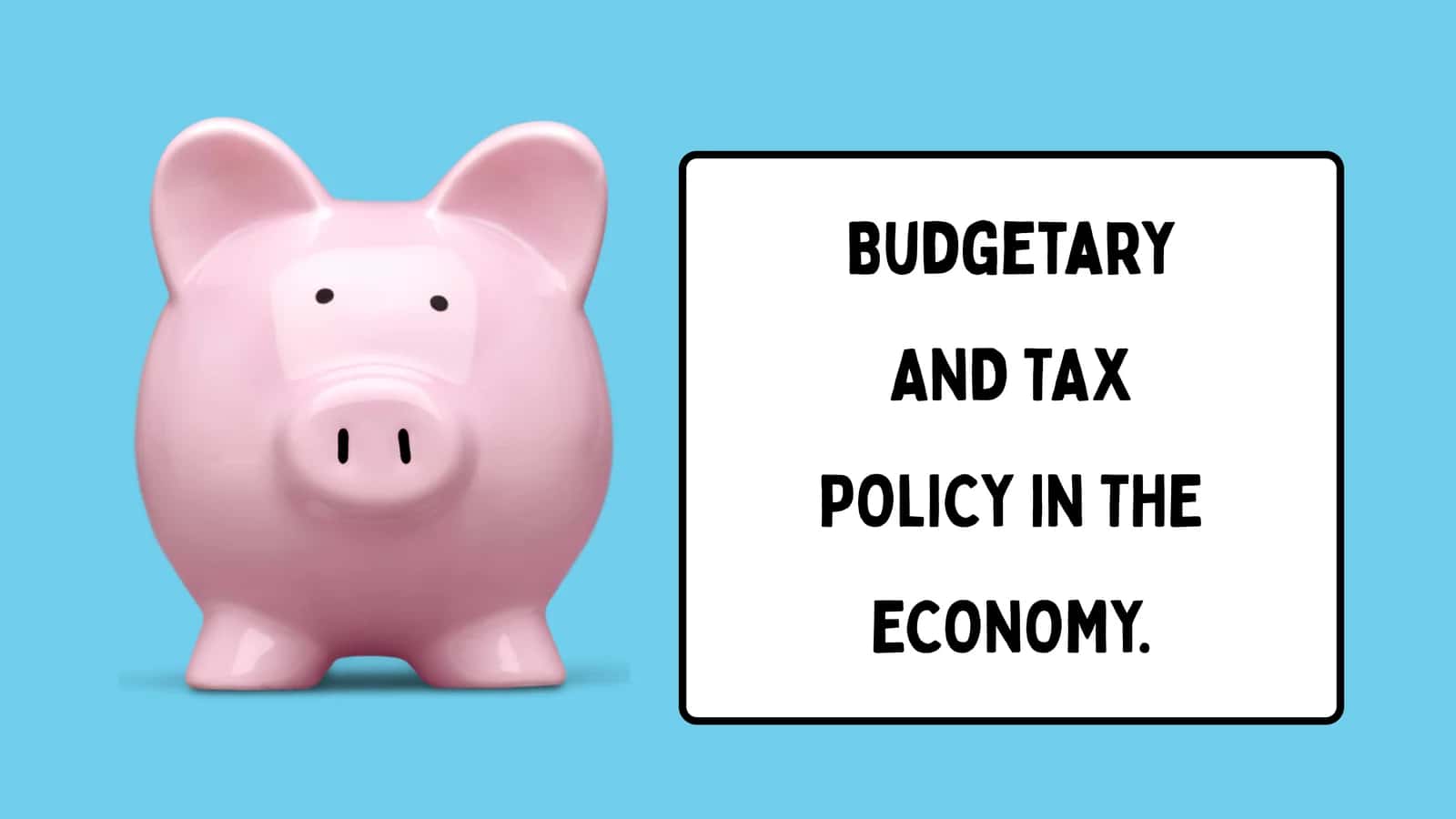 Budgetary AND TAX POLICY IN THE ECONOMY