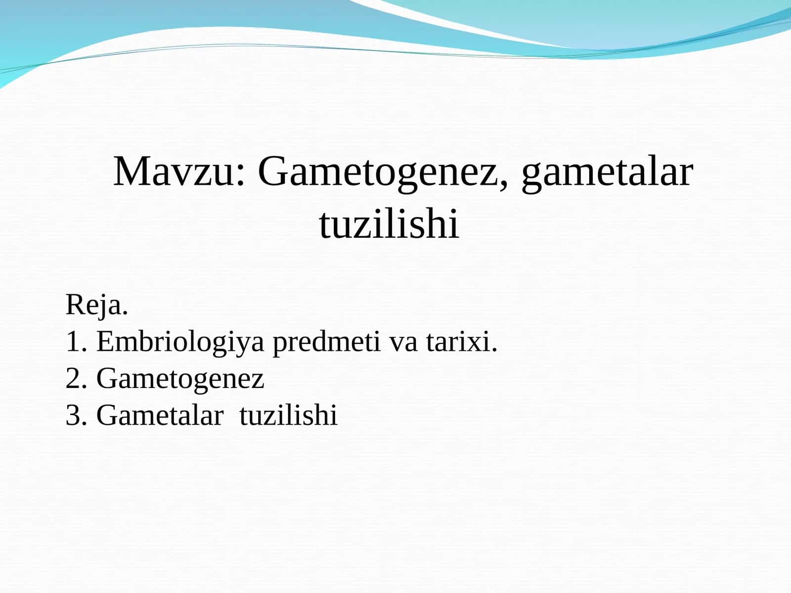 Gametogenez, gametalar tuzilishi