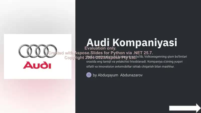 Audi Kompaniyasi