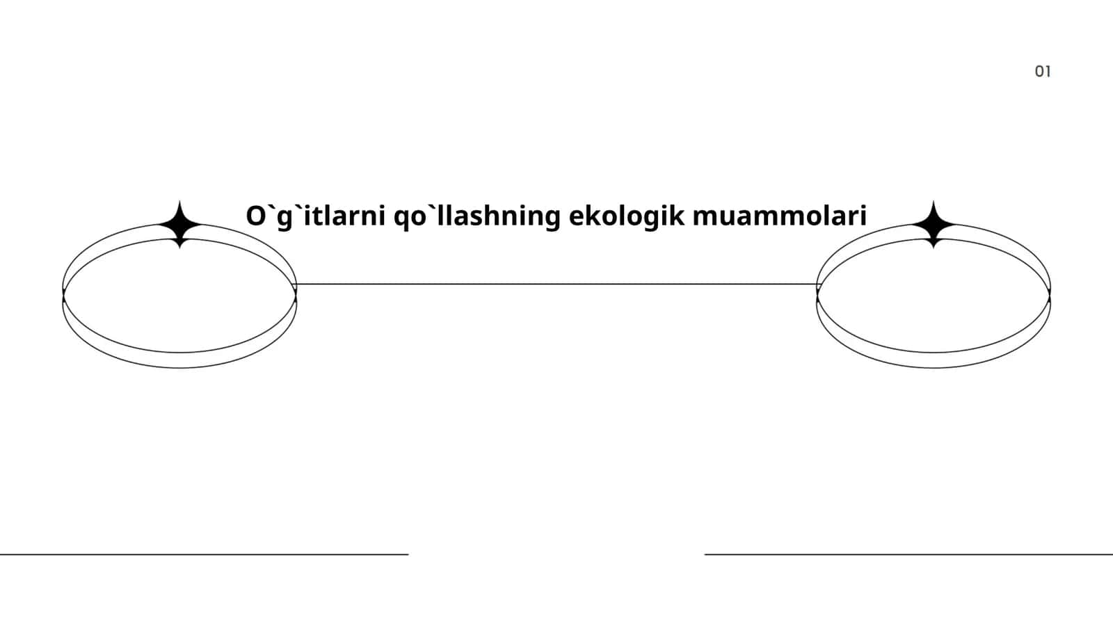 O`g`itlarni qo`llashning ekologik muammolari