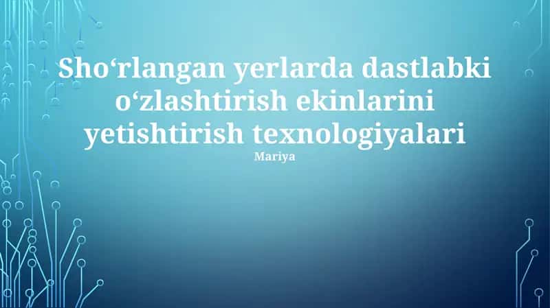 Shoʻrlangan yerlarda dastlabki oʻzlashtirish ekinlarini yetishtirish texnologiyalari