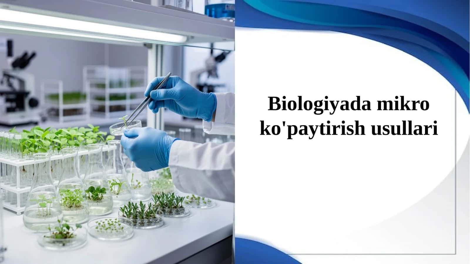 Biologiyadamikroko'paytirishusullari