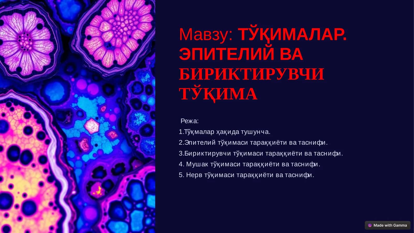 ЭПИТЕЛИЙ ВАБИРИКТИРУВЧИ ТЎҚИМА
