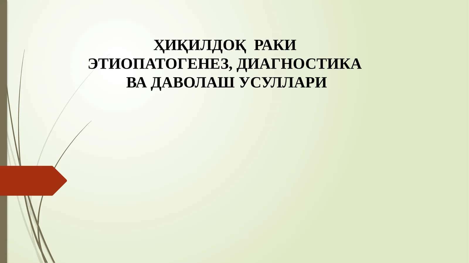 XIQILDOQ RAKI
