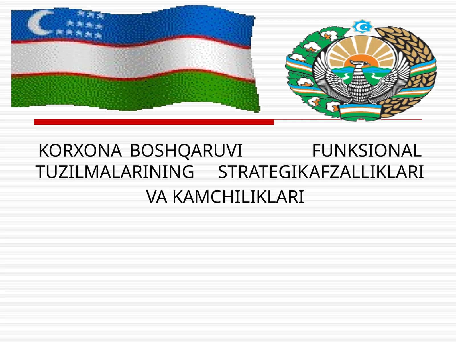 KORXONA BOSHQARUVI FUNKSIONAL TUZILMALARINING STRATEGIK AFZALLIKLARI VA KAMCHILIKLARI