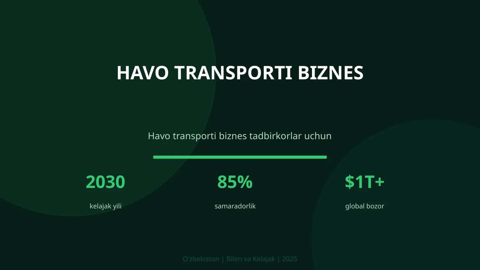 Havo transporti biznes