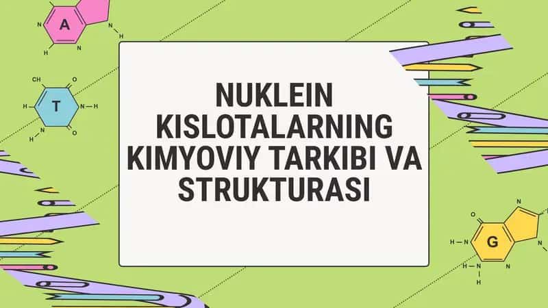 Nuklein Kislotalarning Kimyoviy Tarkibi va Strukturasi