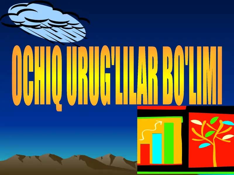 OCHIQ URUG'LILAR BO'LIMI