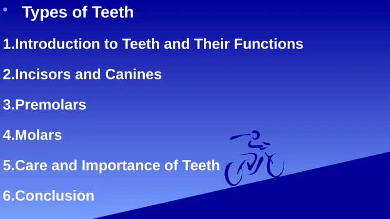 Types of Teeth