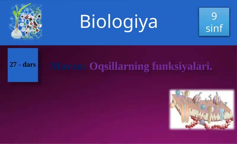 Oqsillarning funksiyalari