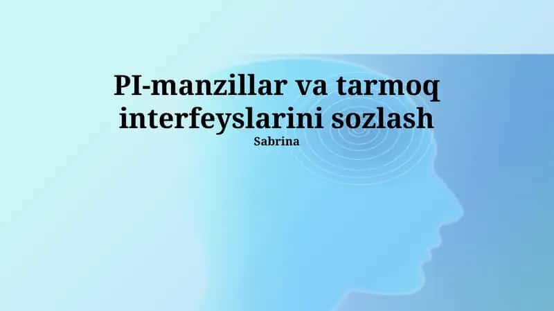 PI-manzillar va tarmoq interfeyslarini sozlash