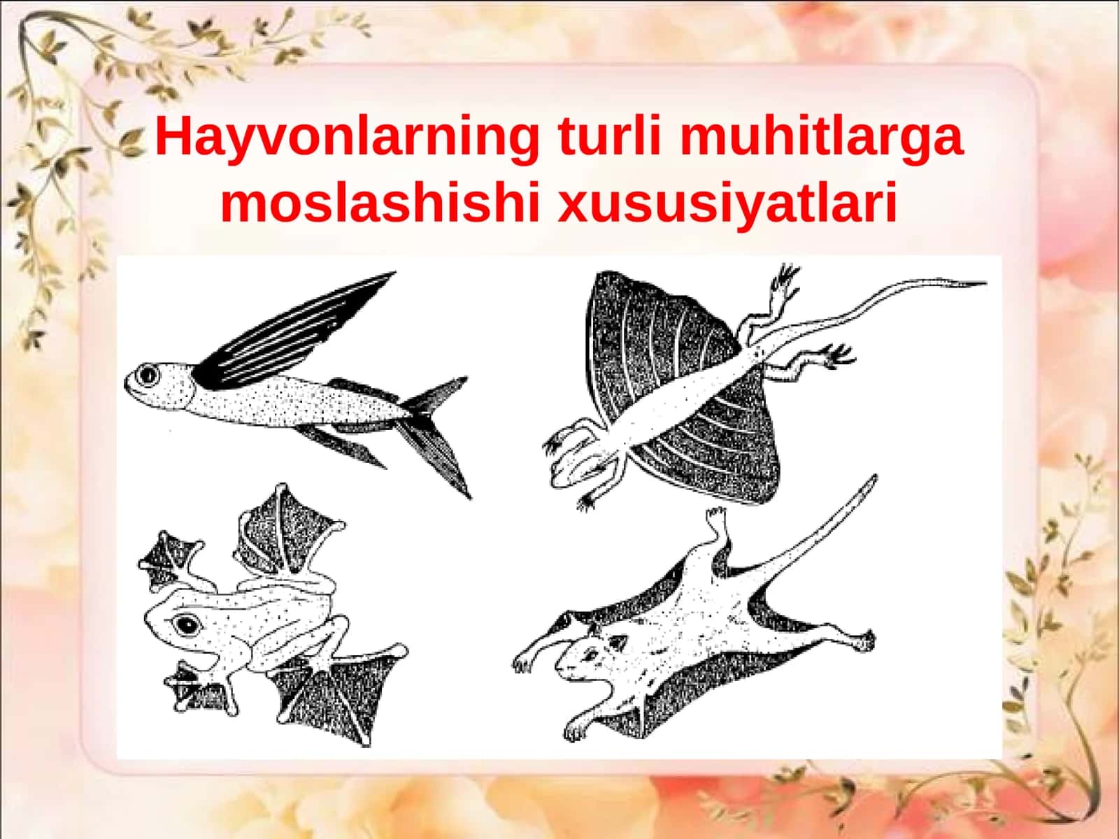 Hayvonlarning muhit bilan bog`liq xususiyatlari
