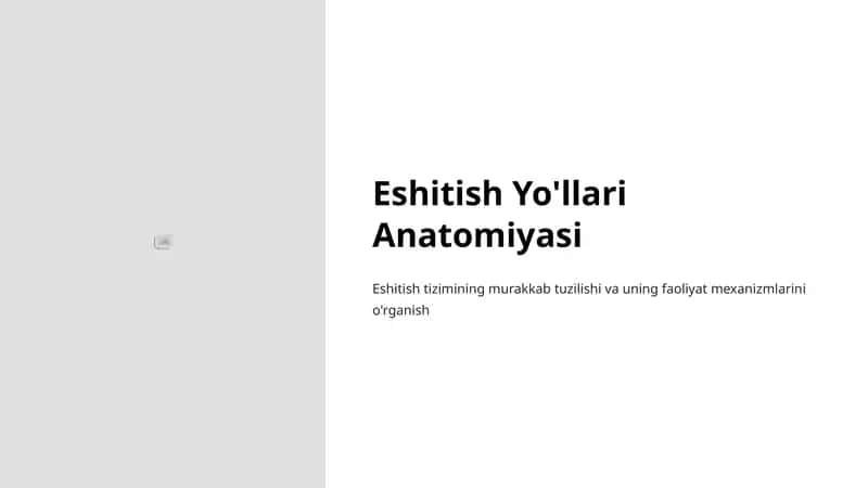 Eshitish Yo'llari Anatomiyasi