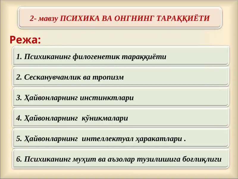 Психика ва онгнинг тараққиёти