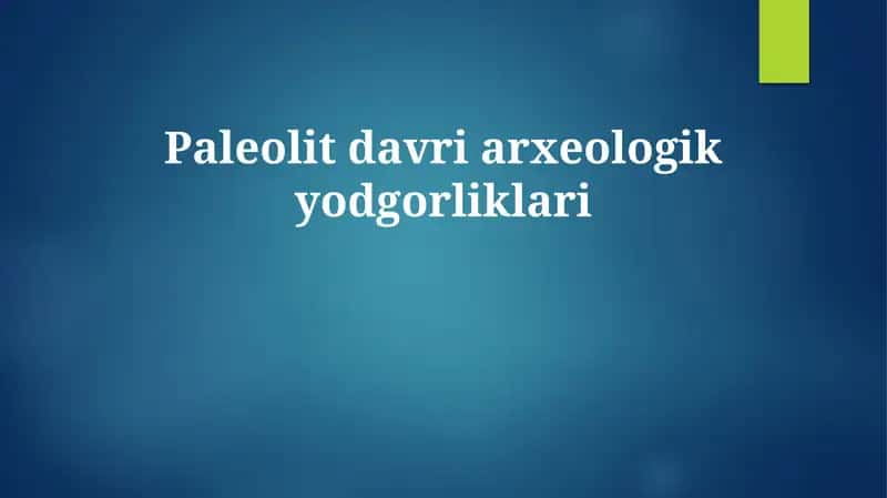 Paleolit davri arxeologik yodgorliklari
