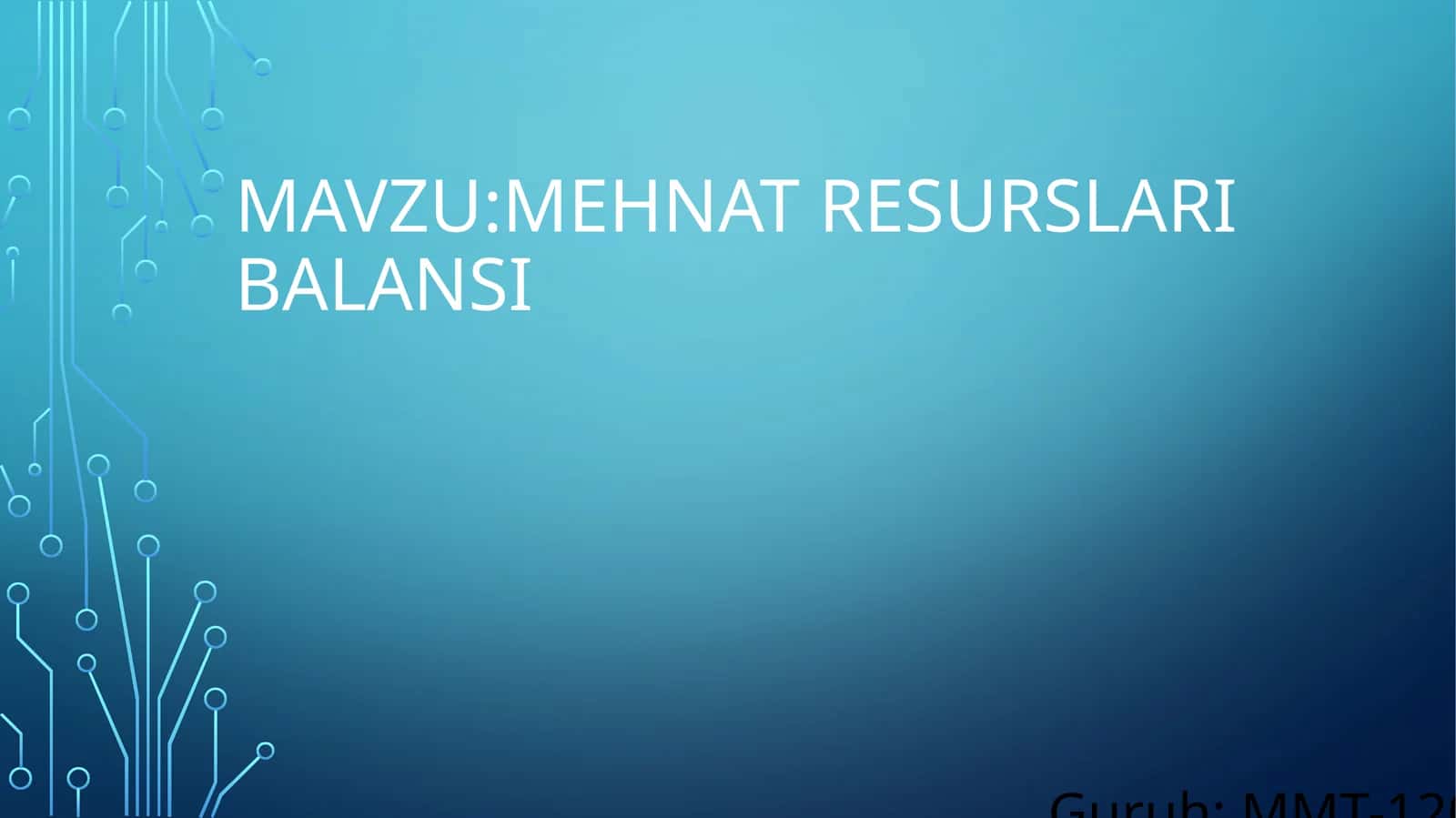 Mehnat resurslari balansi