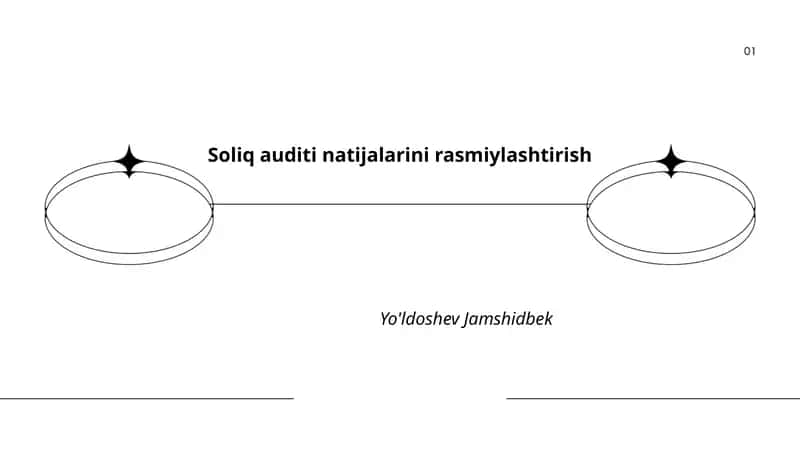 Soliq auditi natijalarini rasmiylashtirish